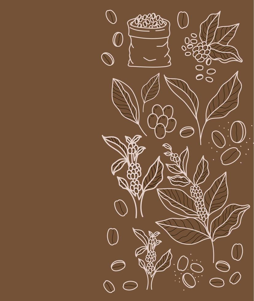 coffee plants cartel vector