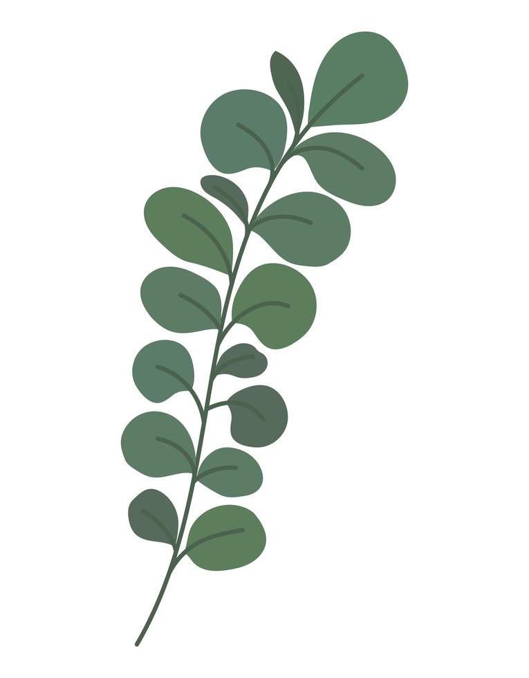 green branch design vector