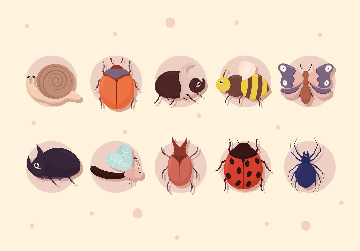 ten cute bugs vector