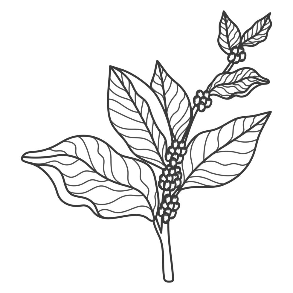 icono de la planta de café vector