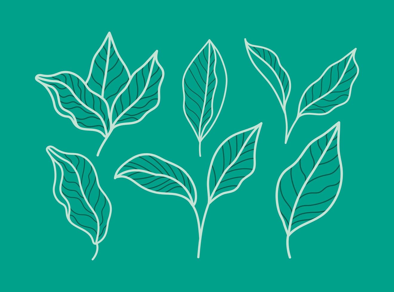 green leaves card vector