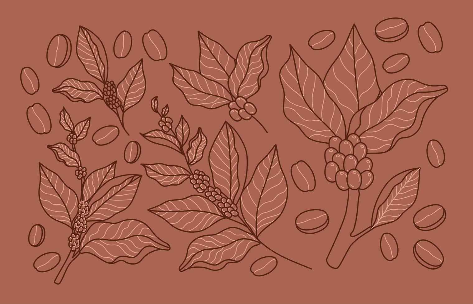 coffee plants card vector