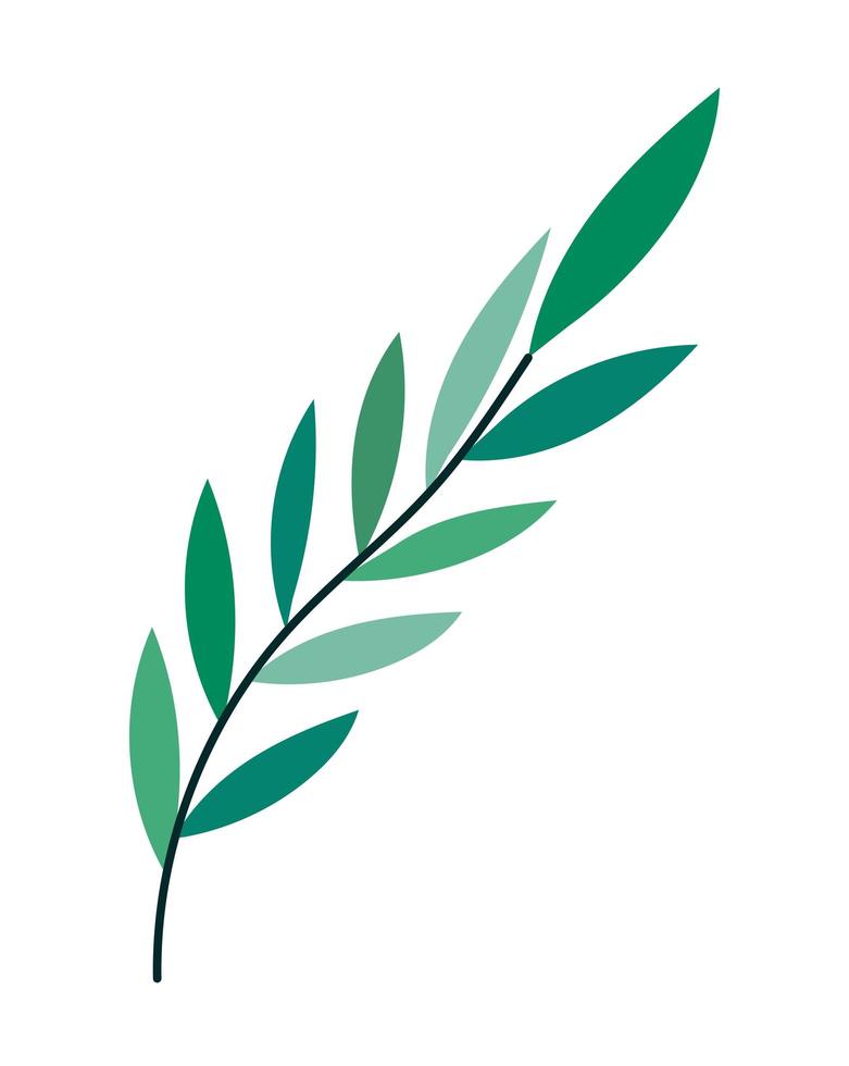 plant stem image vector