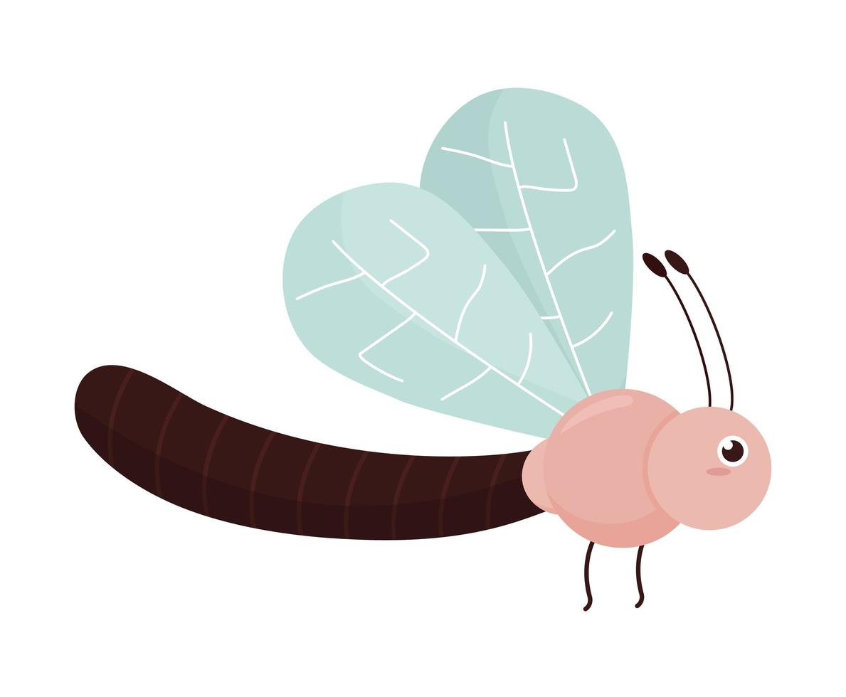 pink dragonfly design vector