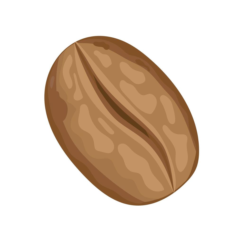 coffee bean illustration vector