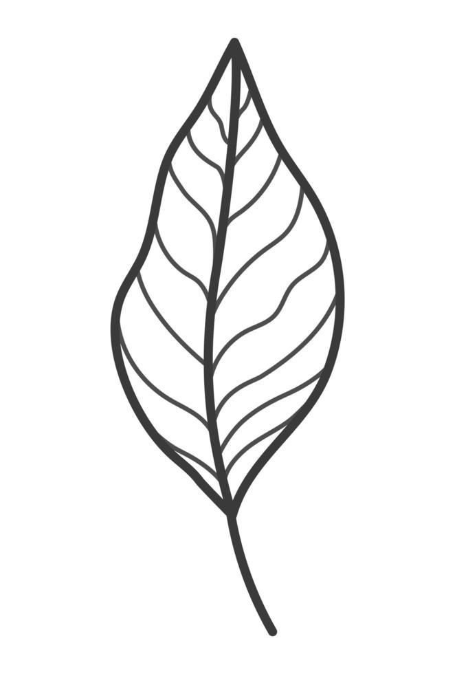 cute leaf illustration vector