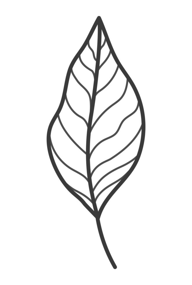 cute leaf illustration vector