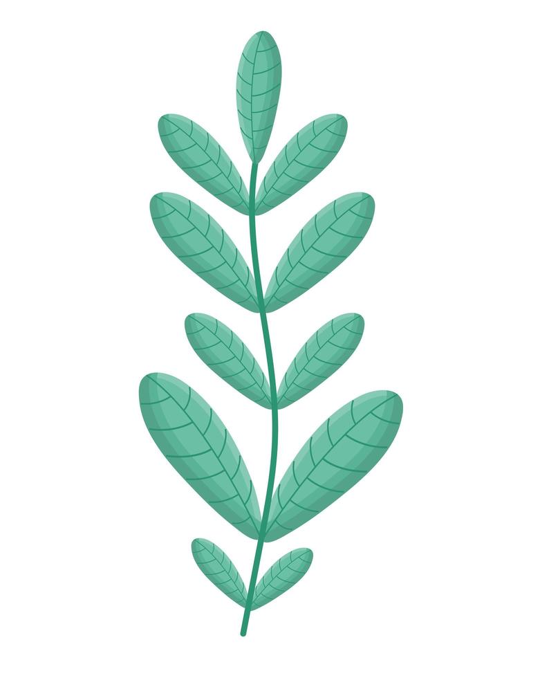 cute branch design vector