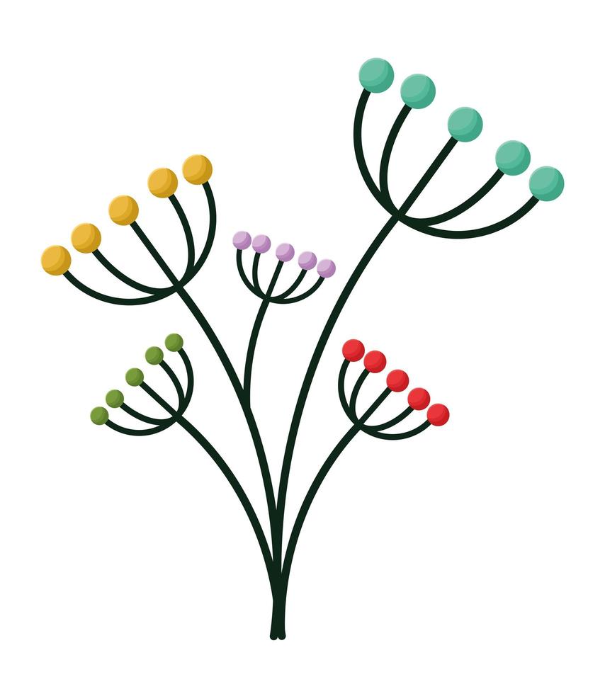 berries branches design vector