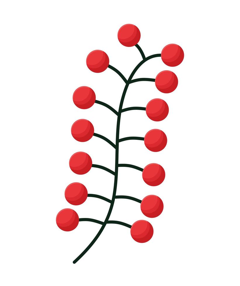 berries branch design vector