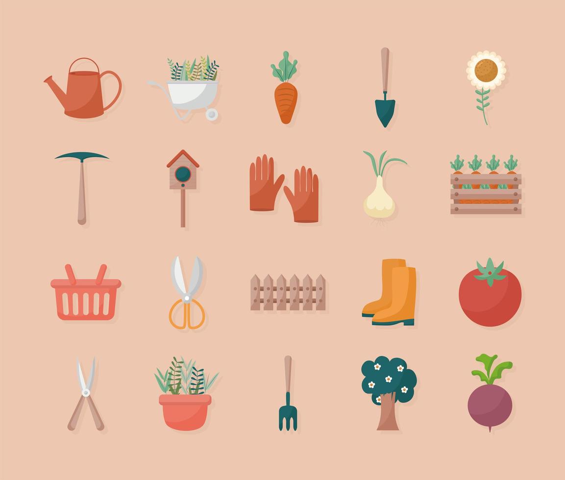twenty garden items vector