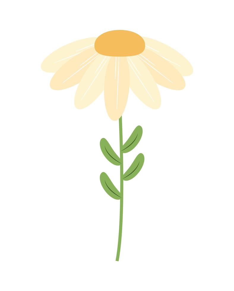 diseño de flores blancas vector