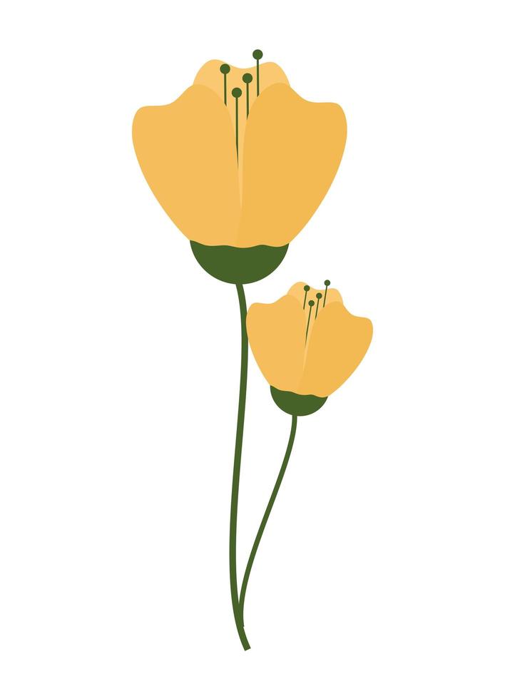 ilustración de flores amarillas vector