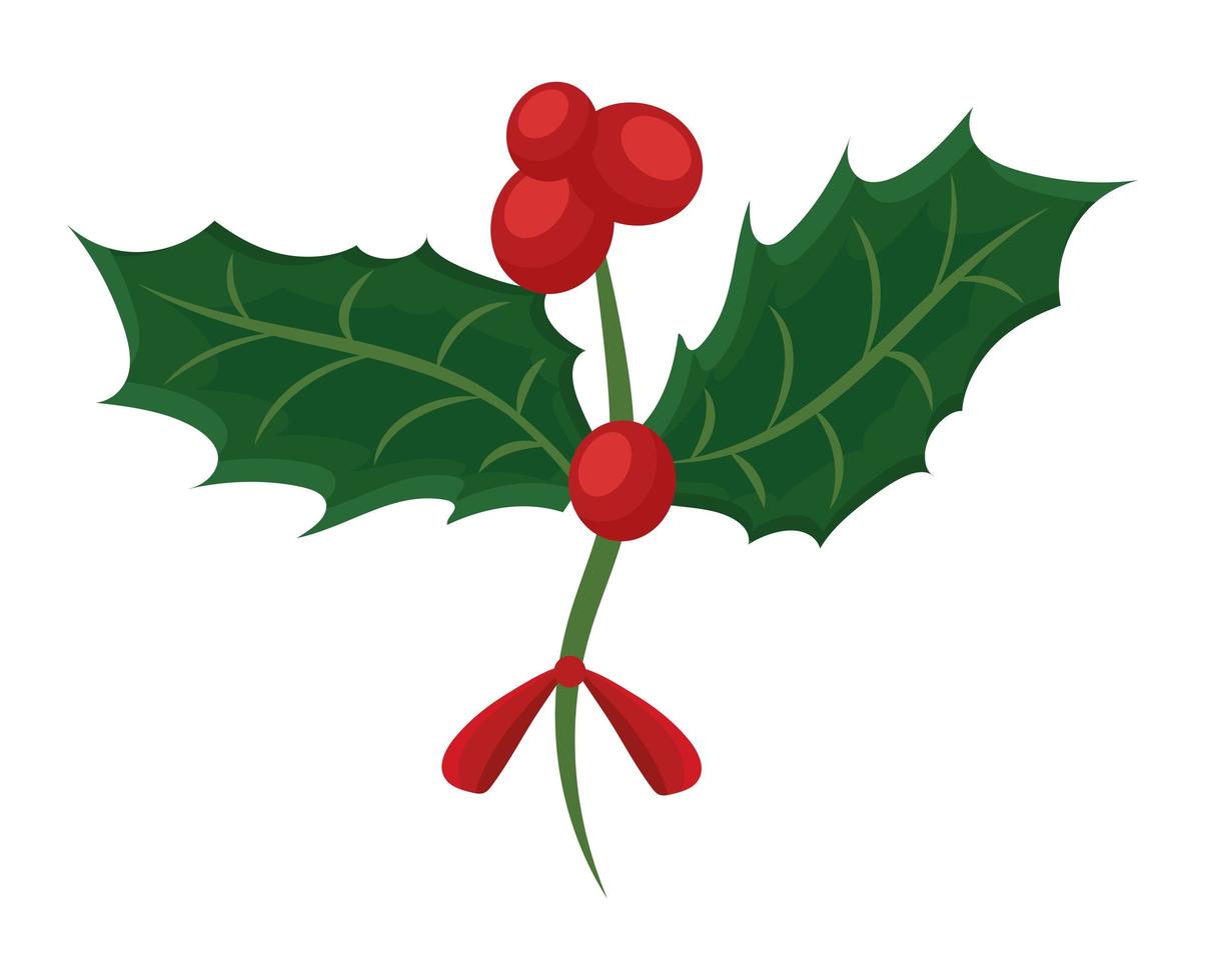 mistletoe plant icon vector