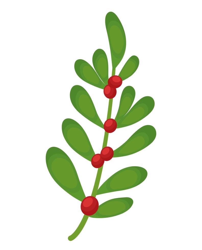 mistletoe plant illustration vector