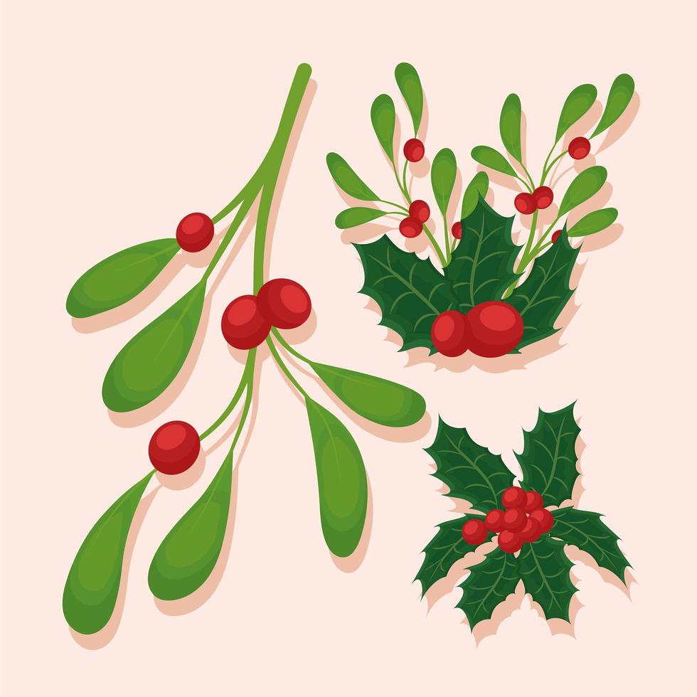 four mistletoe plants vector