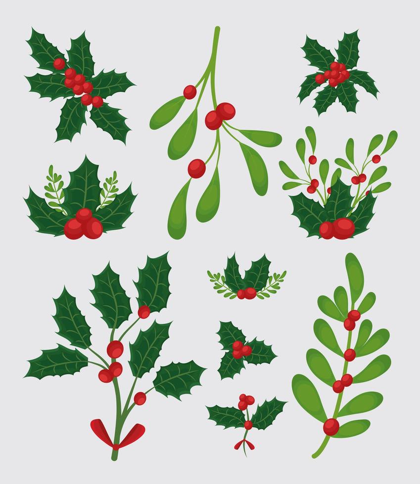 nice mistletoe branches vector