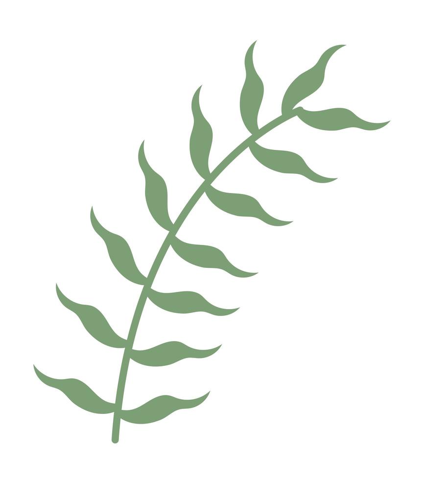 branch with leaves vector