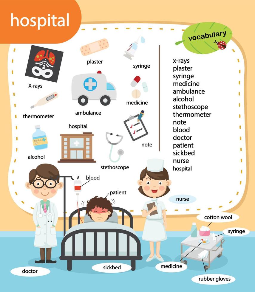 education vocabulary hospital vector illustration