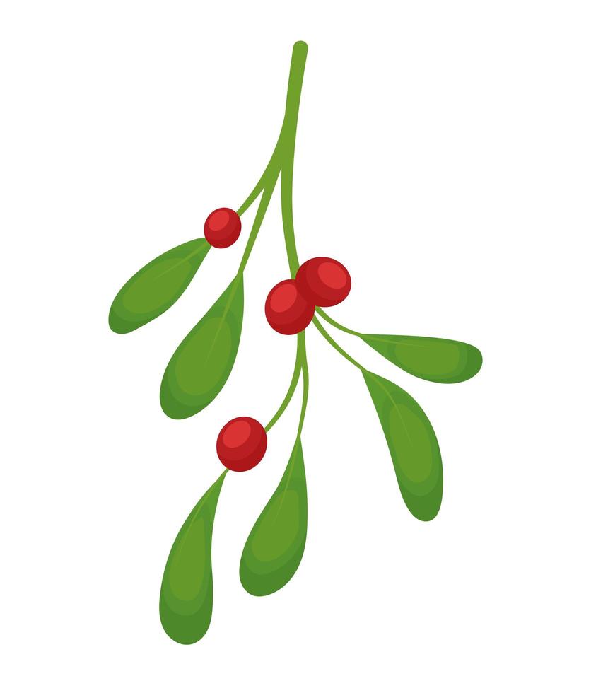 mistletoe branch icon vector