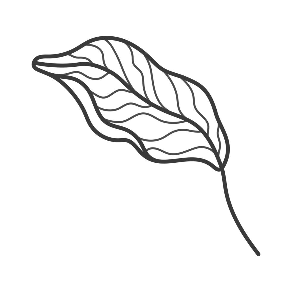 lindo icono de hoja vector