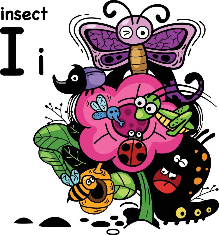 Hand drawn.Alphabet Letter I-insect vector