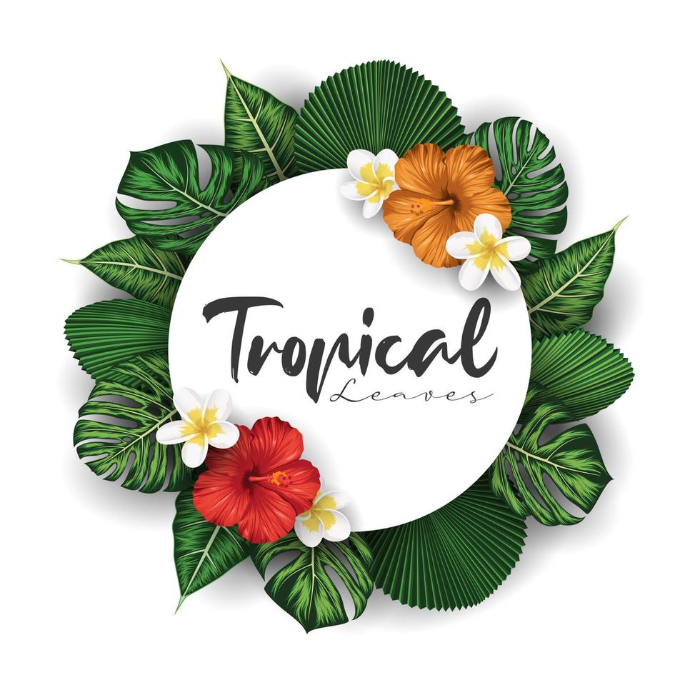 Tropical summer leaves background with jungle plants vector
