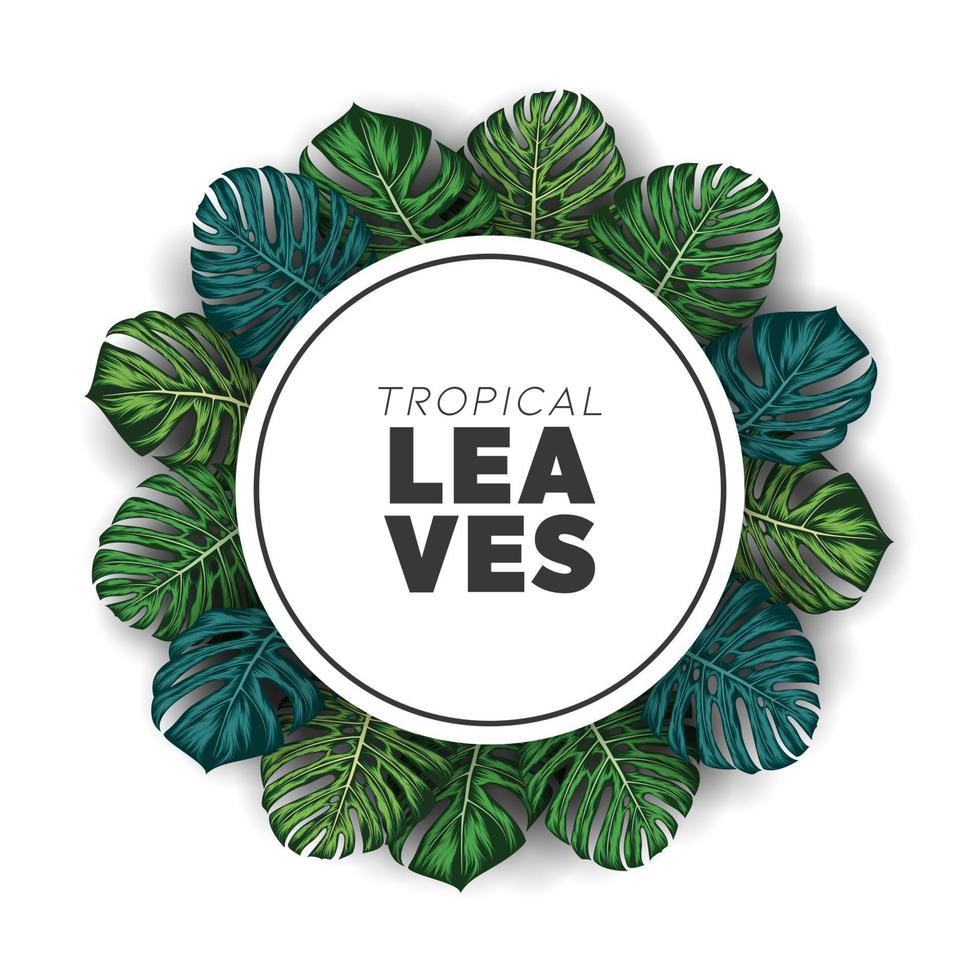 Tropical summer leaves background with jungle plants vector