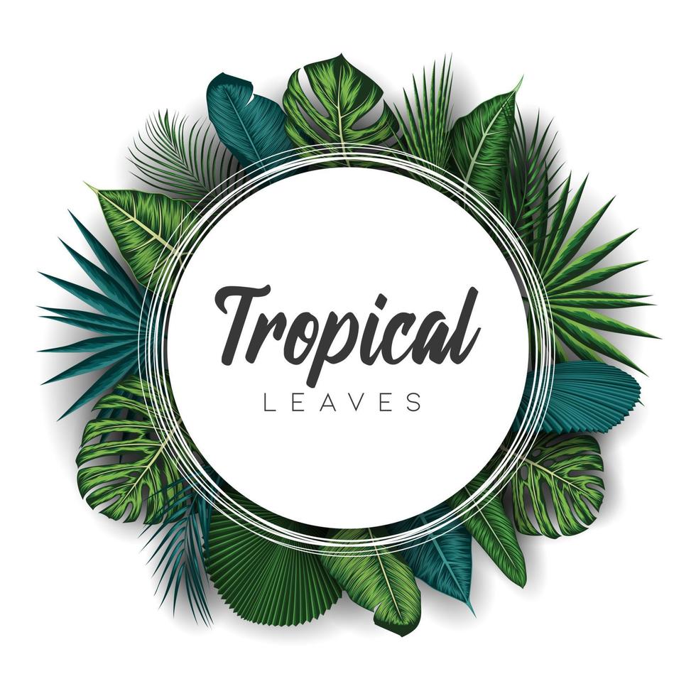 Tropical summer leaves background with jungle plants vector