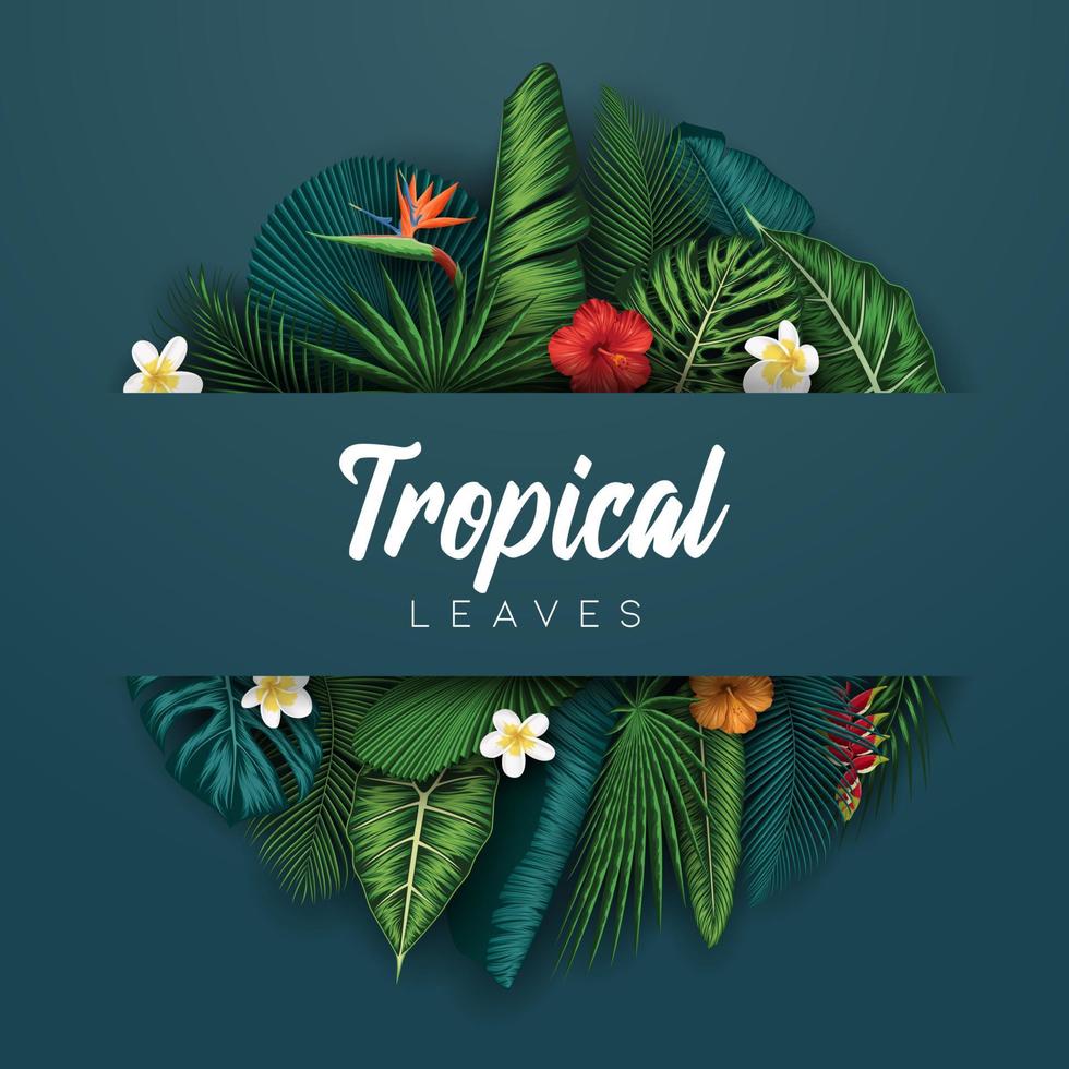 Tropical summer leaves background with jungle plants vector