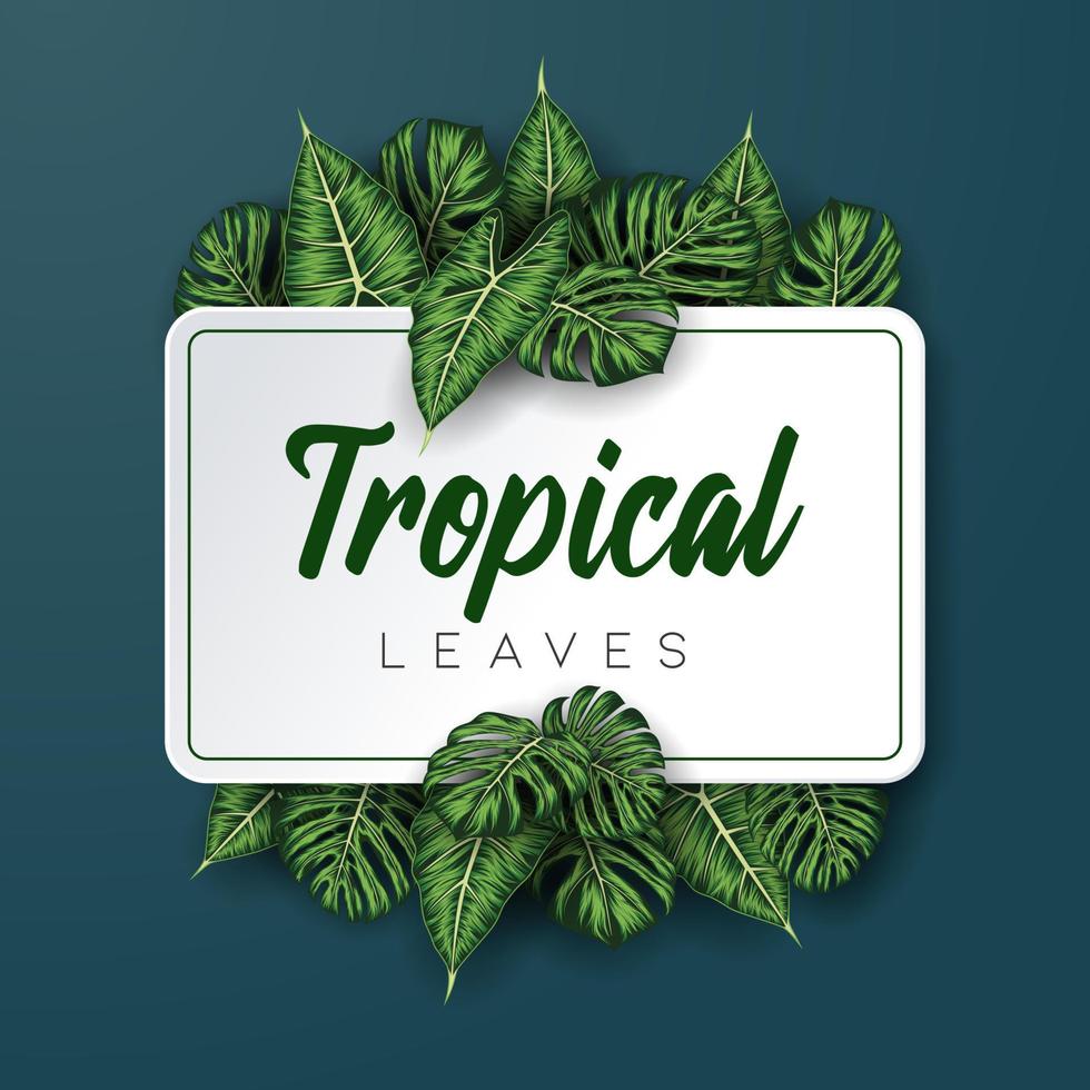 Tropical summer leaves background with jungle plants vector