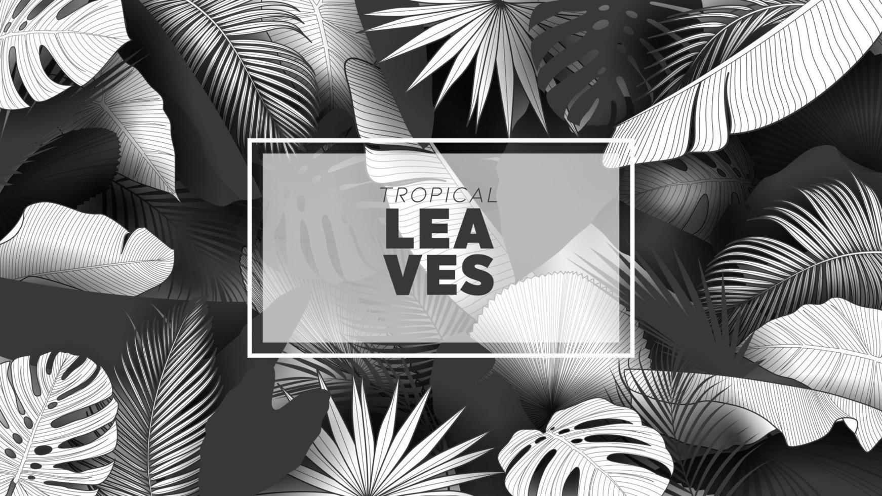 Tropical summer leaves background with jungle plants vector