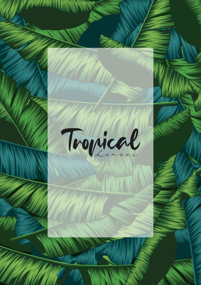 Tropical summer leaves background with jungle plants vector