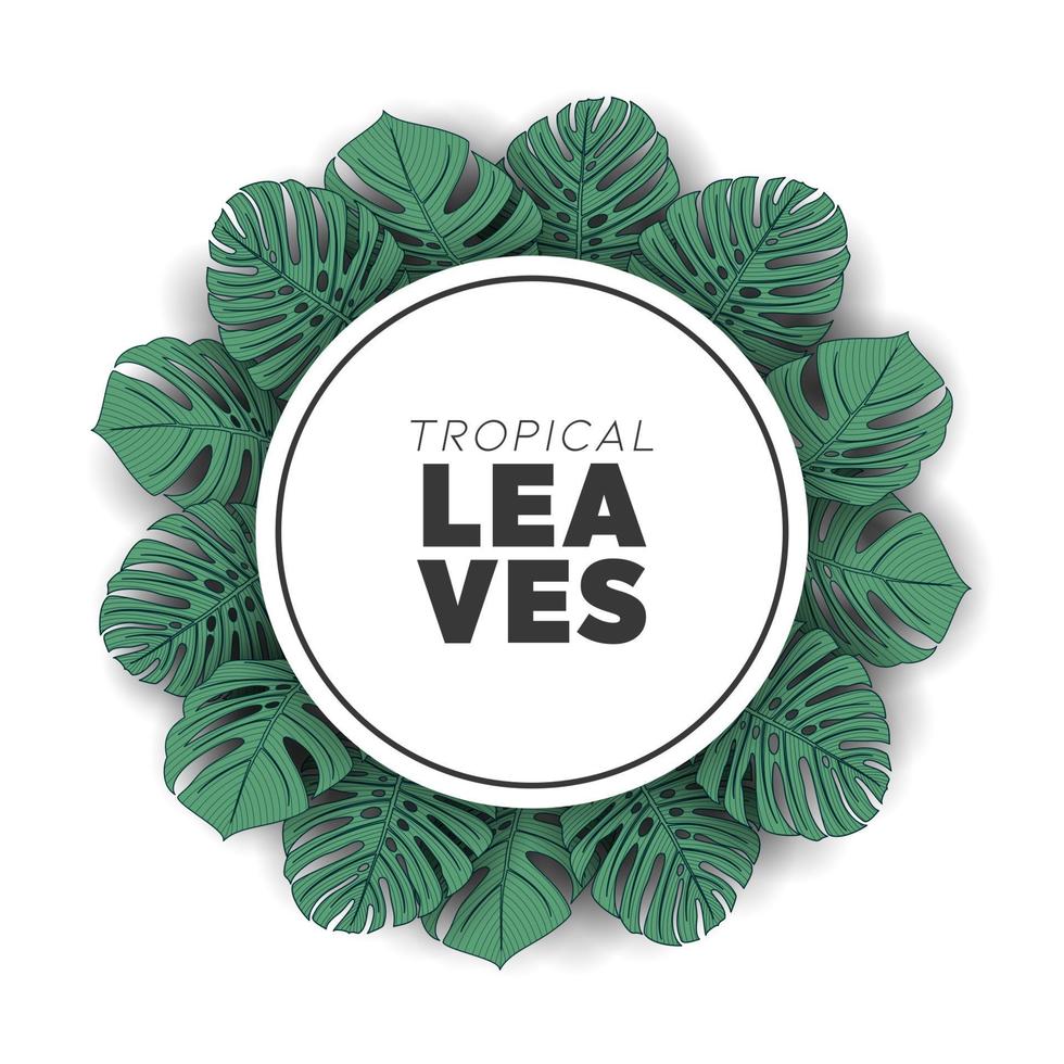 Tropical summer leaves background with jungle plants vector