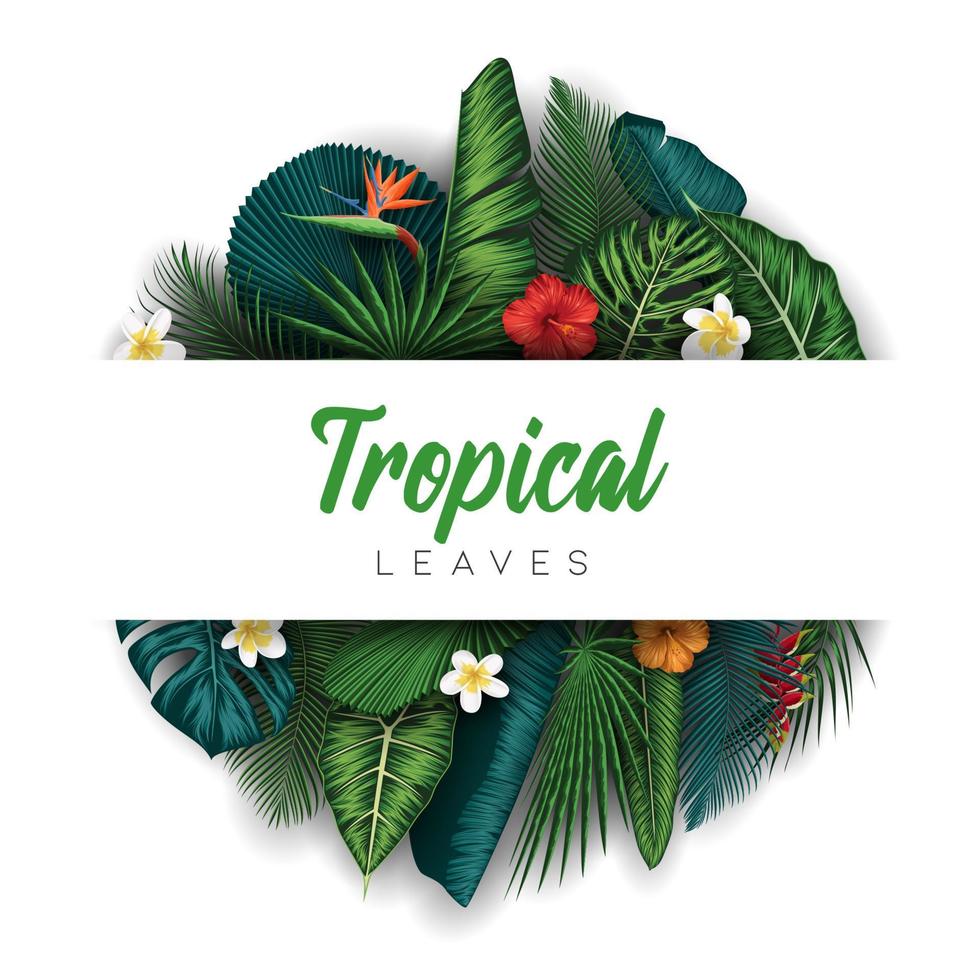 Tropical summer leaves background with jungle plants vector