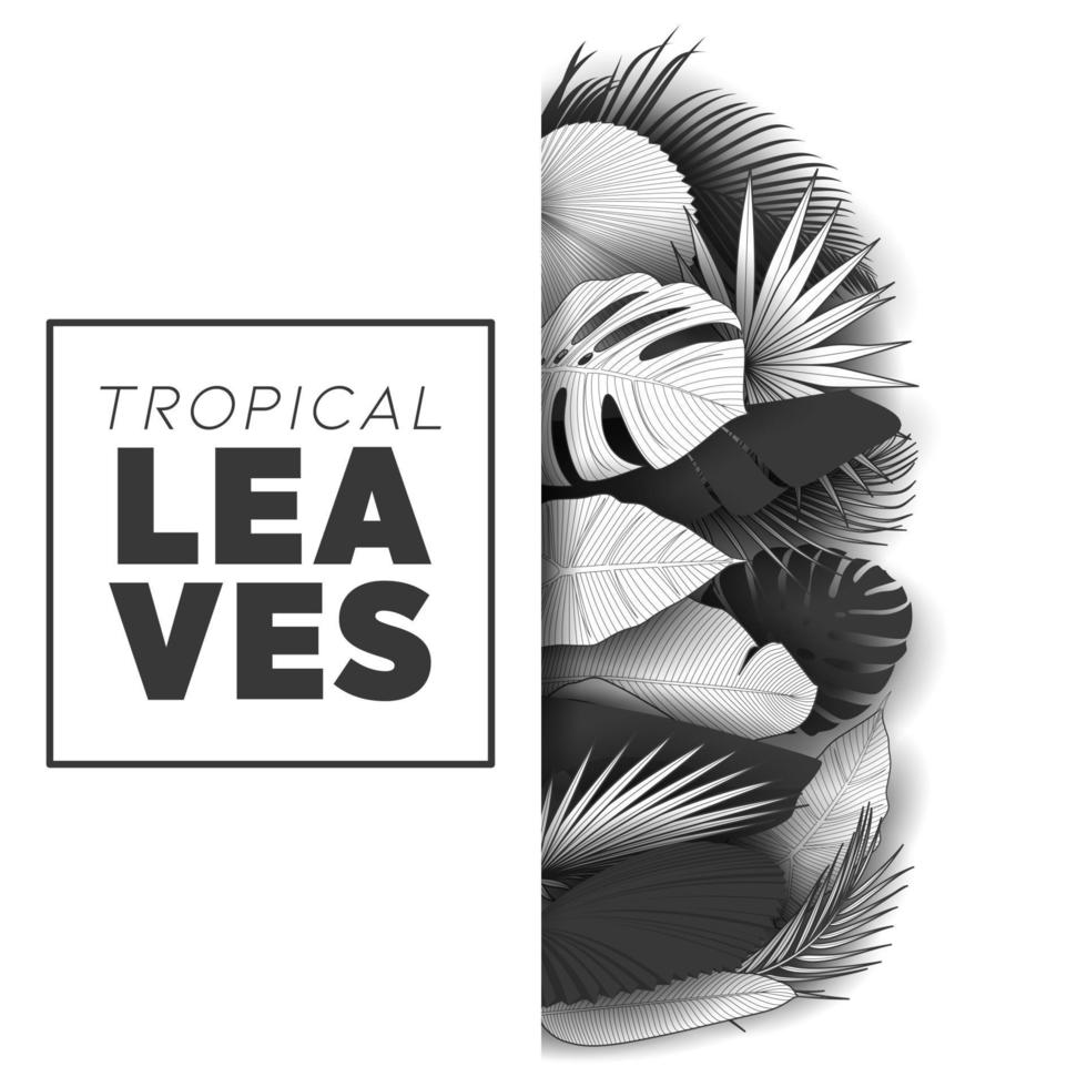 fondo de hojas de verano tropical con plantas de la selva vector