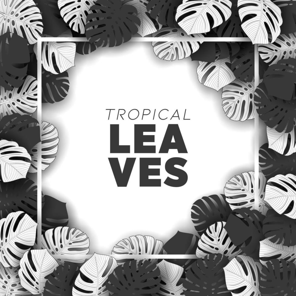 fondo de hojas de verano tropical con plantas de la selva vector