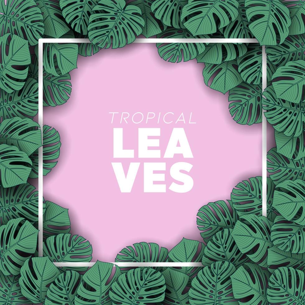 fondo de hojas de verano tropical con plantas de la selva vector