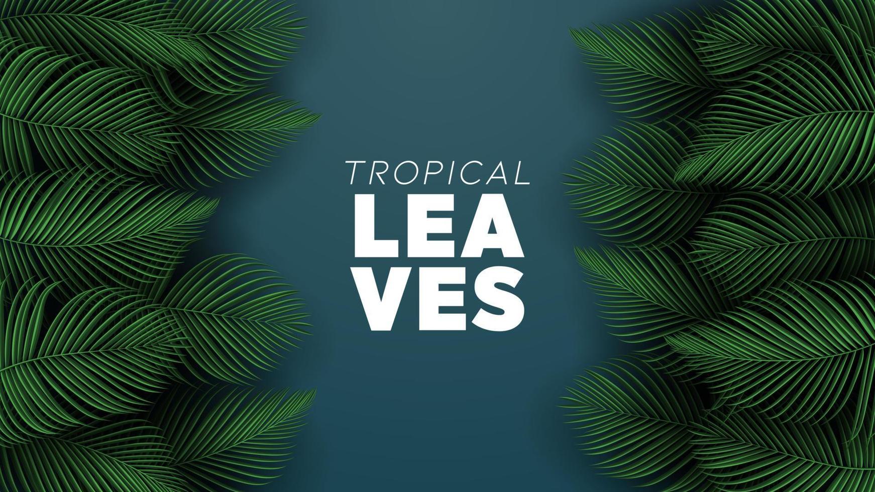 fondo de hojas de verano tropical con plantas de la selva vector