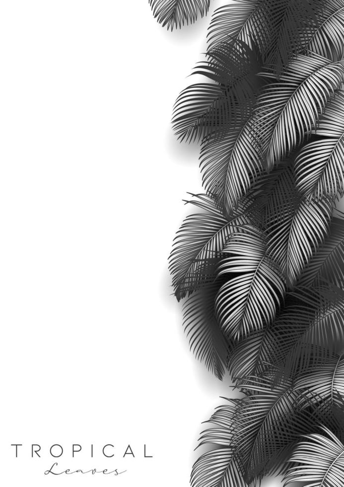 fondo de hojas de verano tropical con plantas de la selva vector