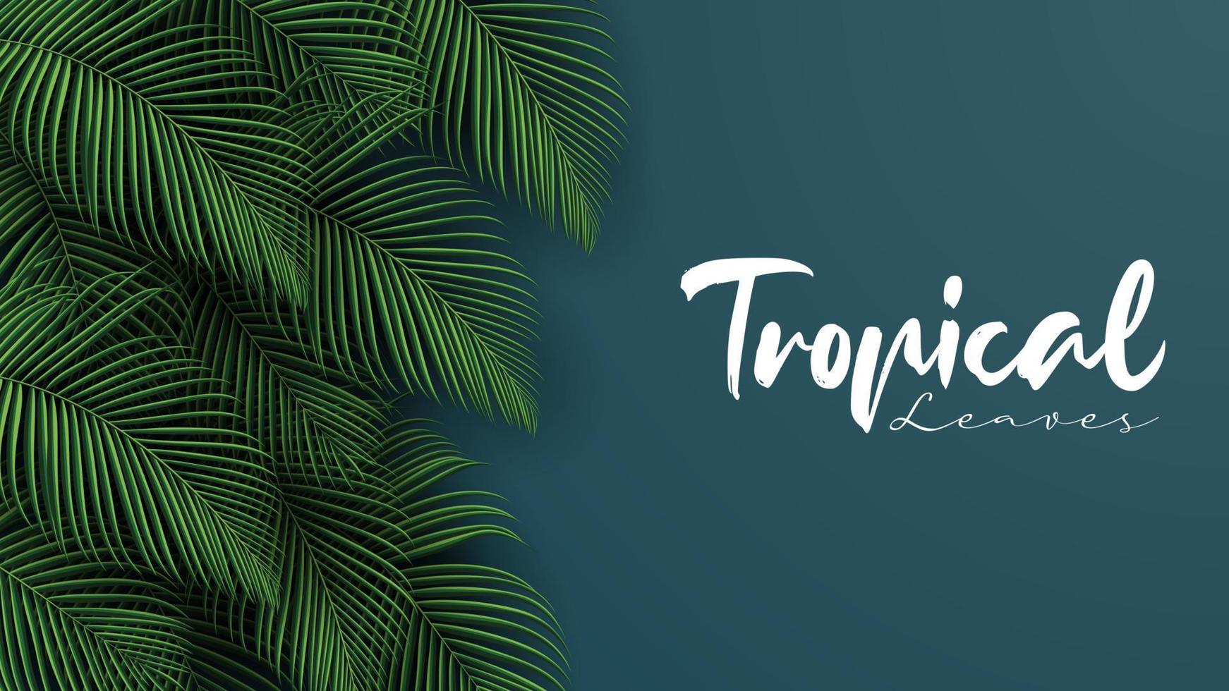 Tropical summer leaves background with jungle plants vector