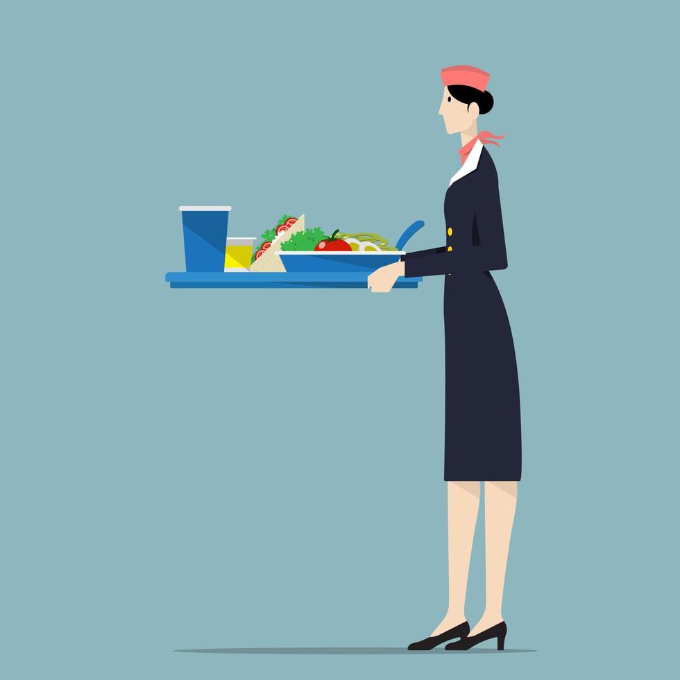 Airline hostess serving food. vector