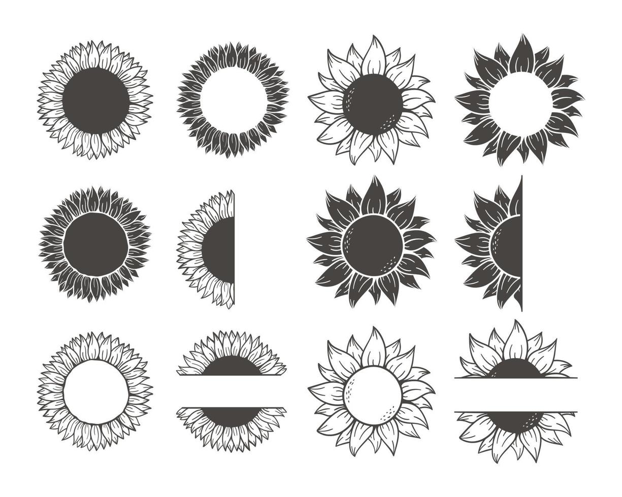 blooming yellow sunflowers full of sunflower seeds inside for decorating welcome cards vector