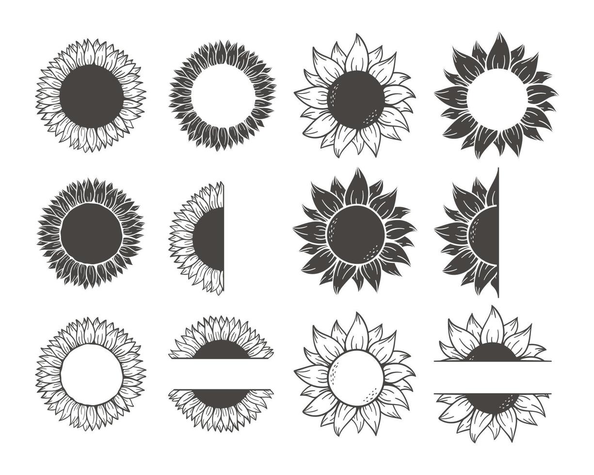 girasoles amarillos florecientes llenos de semillas de girasol en el interior para decorar tarjetas de bienvenida vector