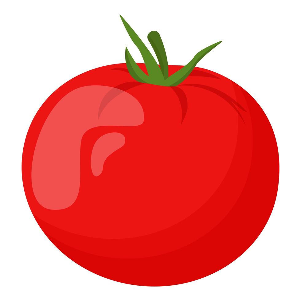 Whole tomato isolated on white background. Flat vector illustration