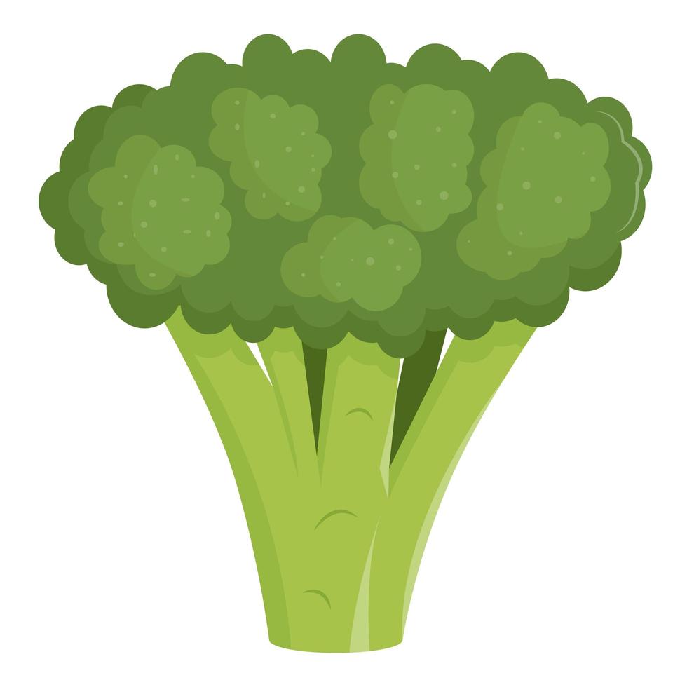 brócoli verde fresco. ilustración vectorial plana. comida vegetariana vector