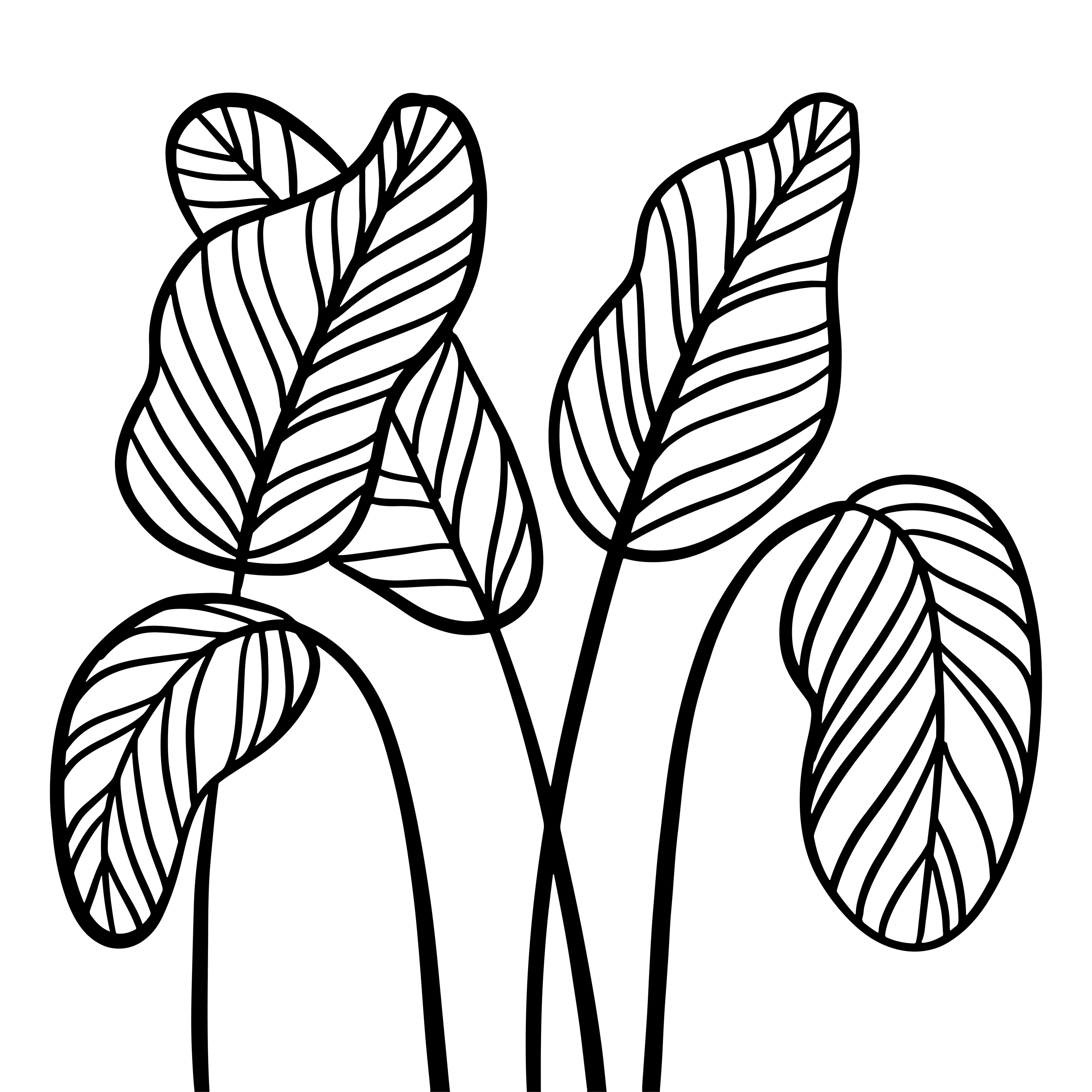 A tropical big leaf composition. Bunch of abstract leaves. Line art