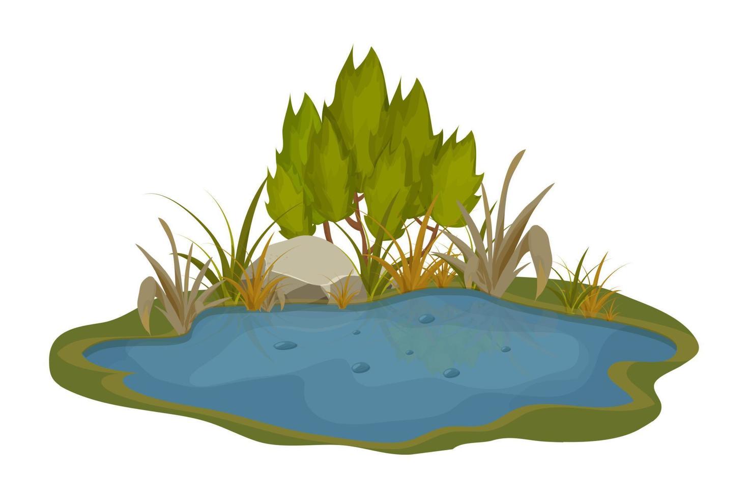 lago, pantano con piedras, hojas de lirio de espadaña en estilo de dibujos animados aislado sobre fondo blanco. escena de fantasía forestal, naturaleza salvaje. ilustración vectorial vector