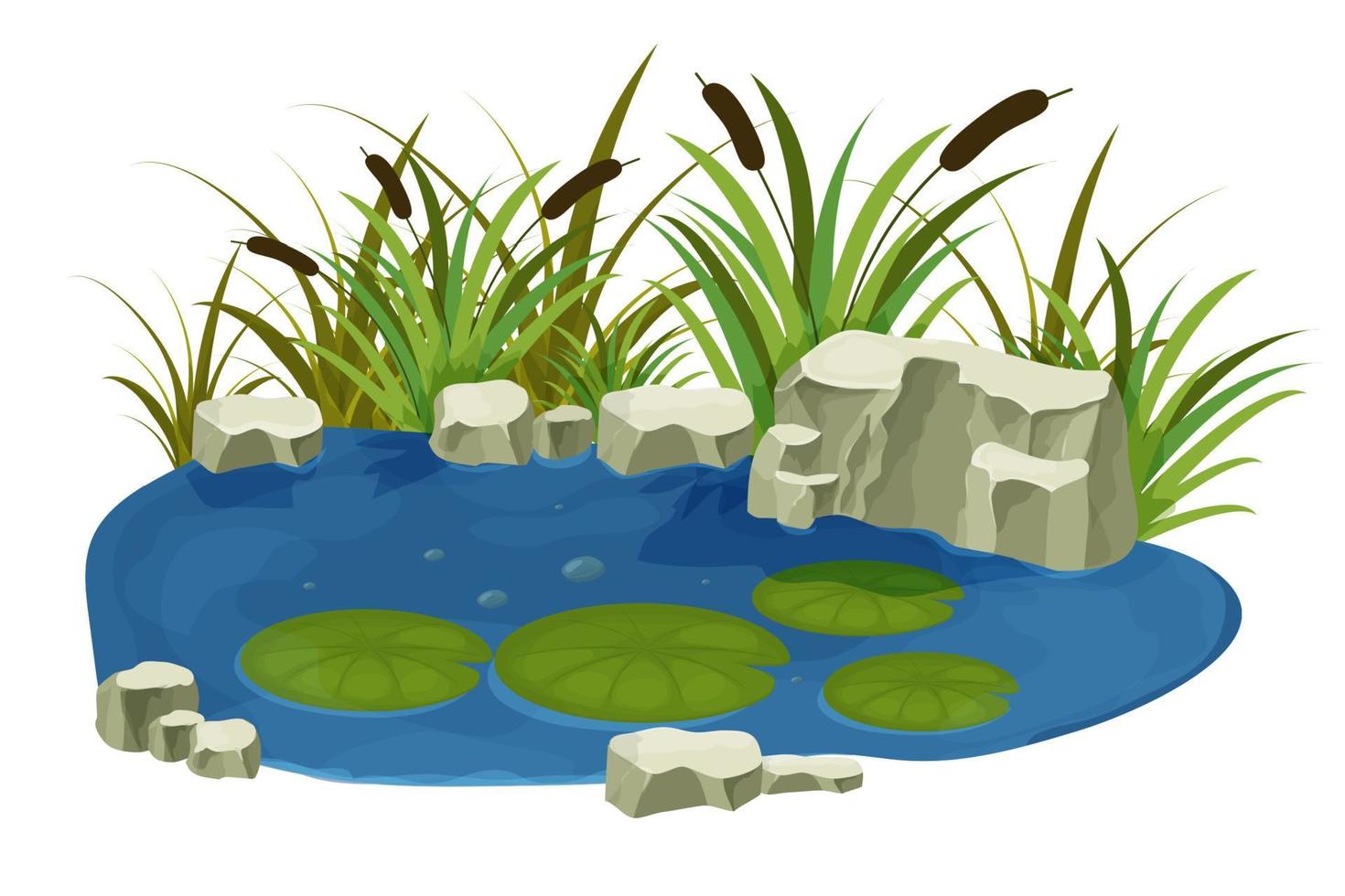 lago, pantano con piedras, hojas de lirio de espadaña en estilo de dibujos animados aislado sobre fondo blanco. escena de fantasía forestal, naturaleza salvaje. ilustración vectorial vector