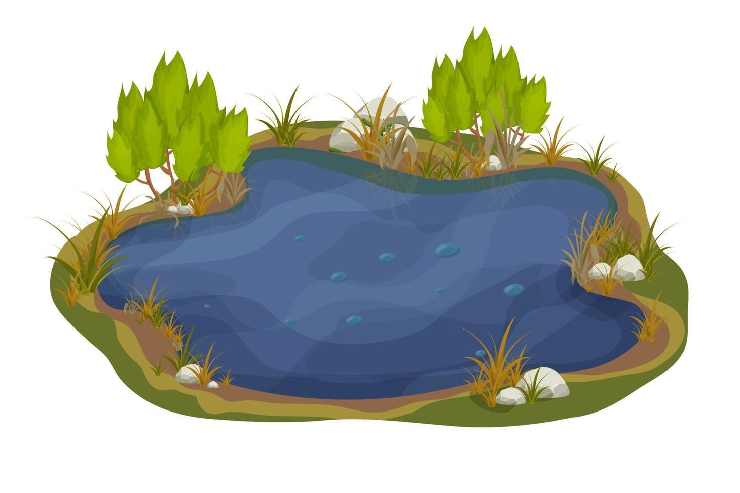 lago, pantano con piedras, hojas de lirio de espadaña en estilo de dibujos animados aislado sobre fondo blanco. escena de fantasía forestal, naturaleza salvaje. ilustración vectorial vector